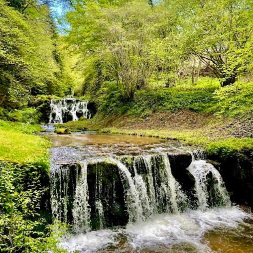 Visite Parc & Jardins