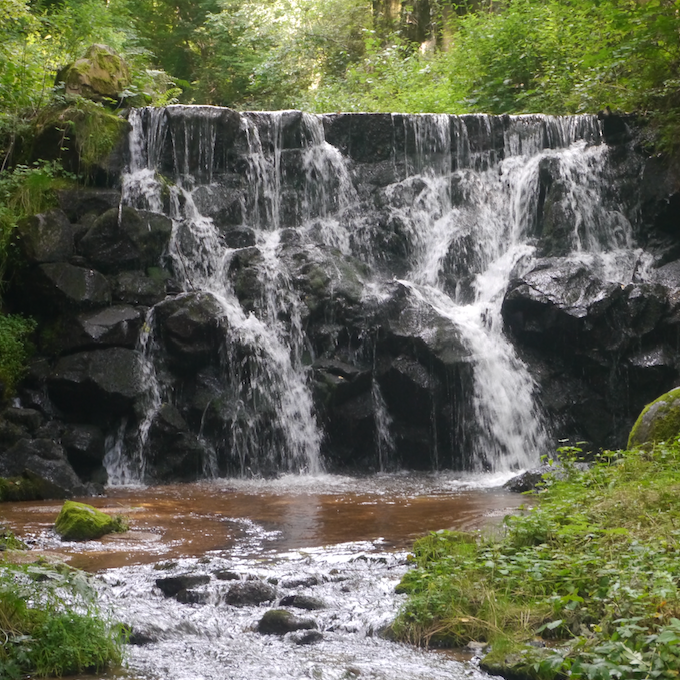Dès le 15 juin 2026 - Entrée Enfant - Parc & Jardins
