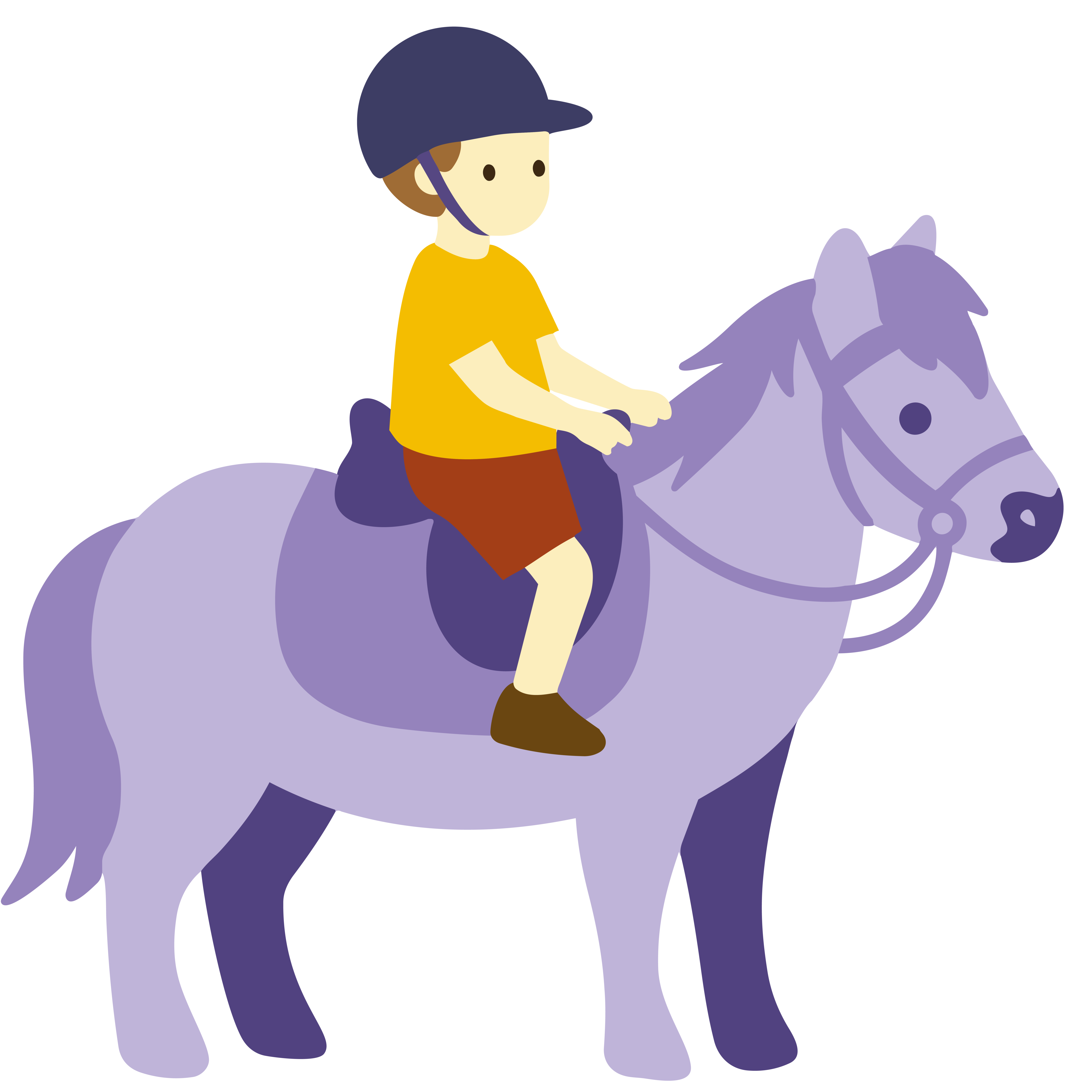 Anniversaire 100% Poney