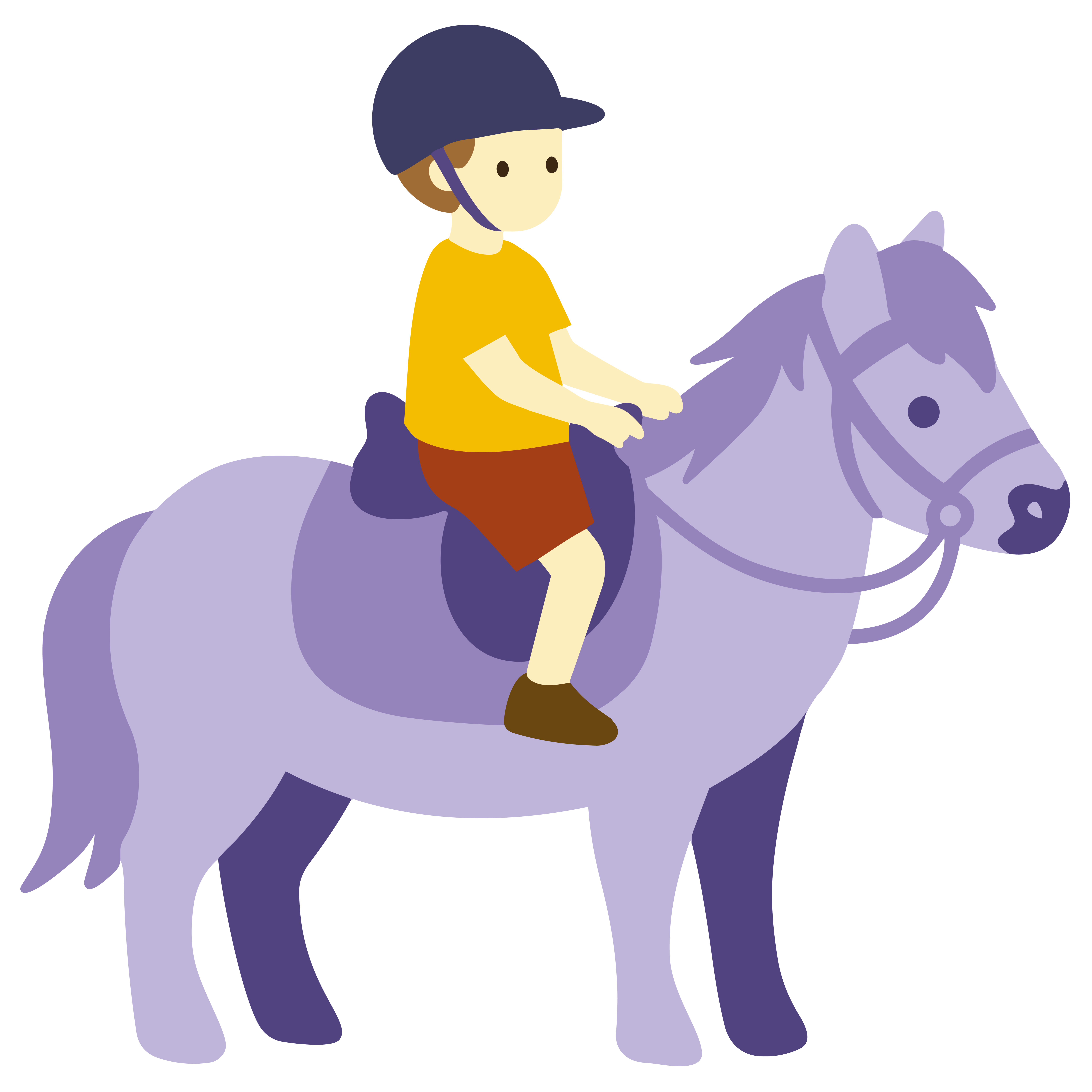 Stage Poney 5-10 ans