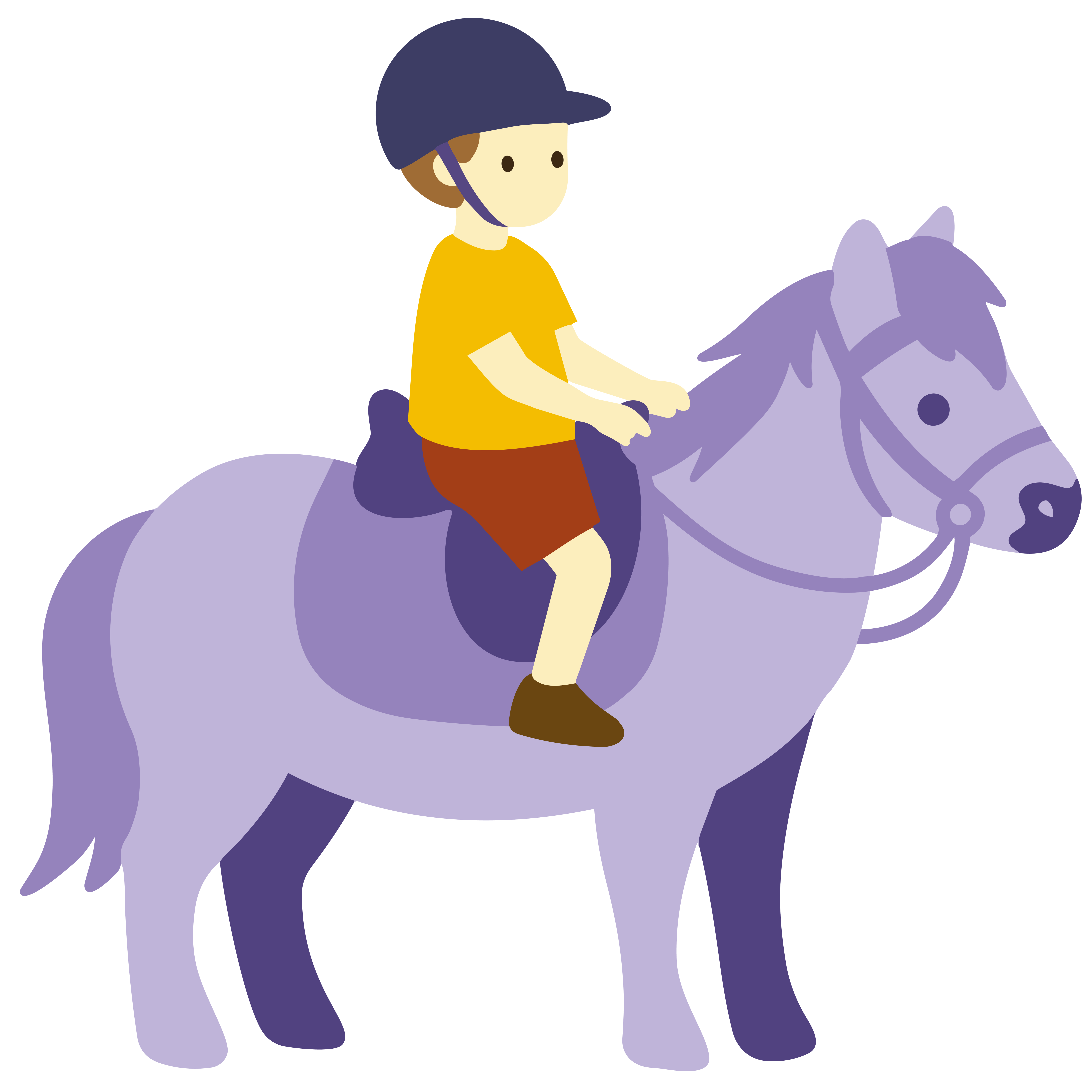 Cours Particulier Poney