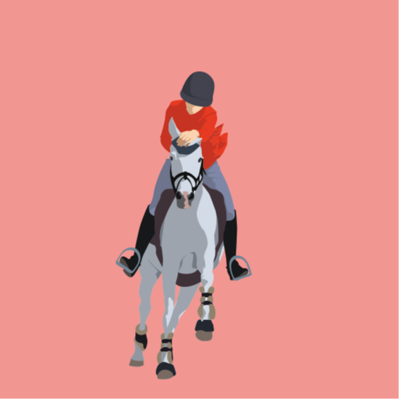 Equitation