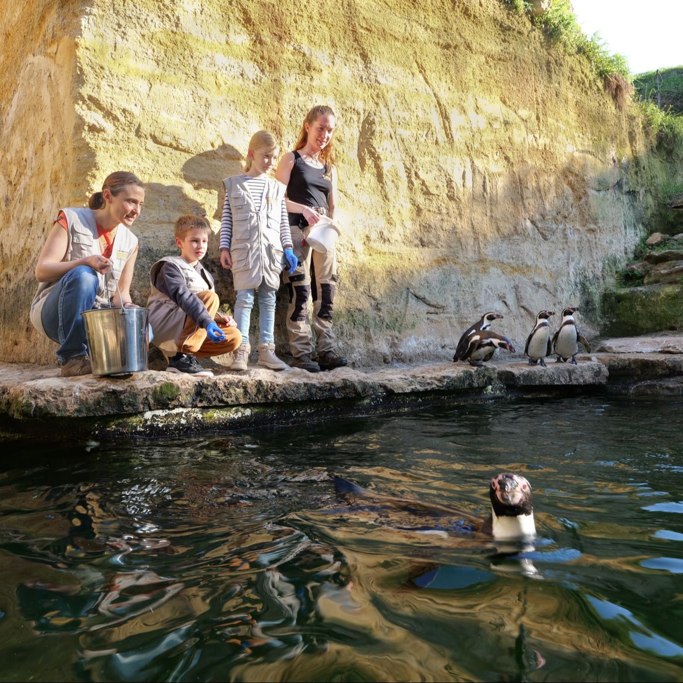 VIP Enfant(s) 6-15 ans + 2 Adultes