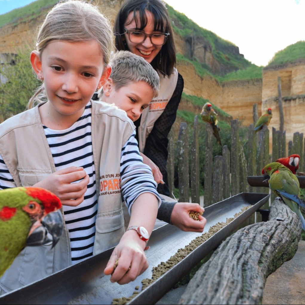 VIP Enfant(s) 6-15 ans + 1 Adulte