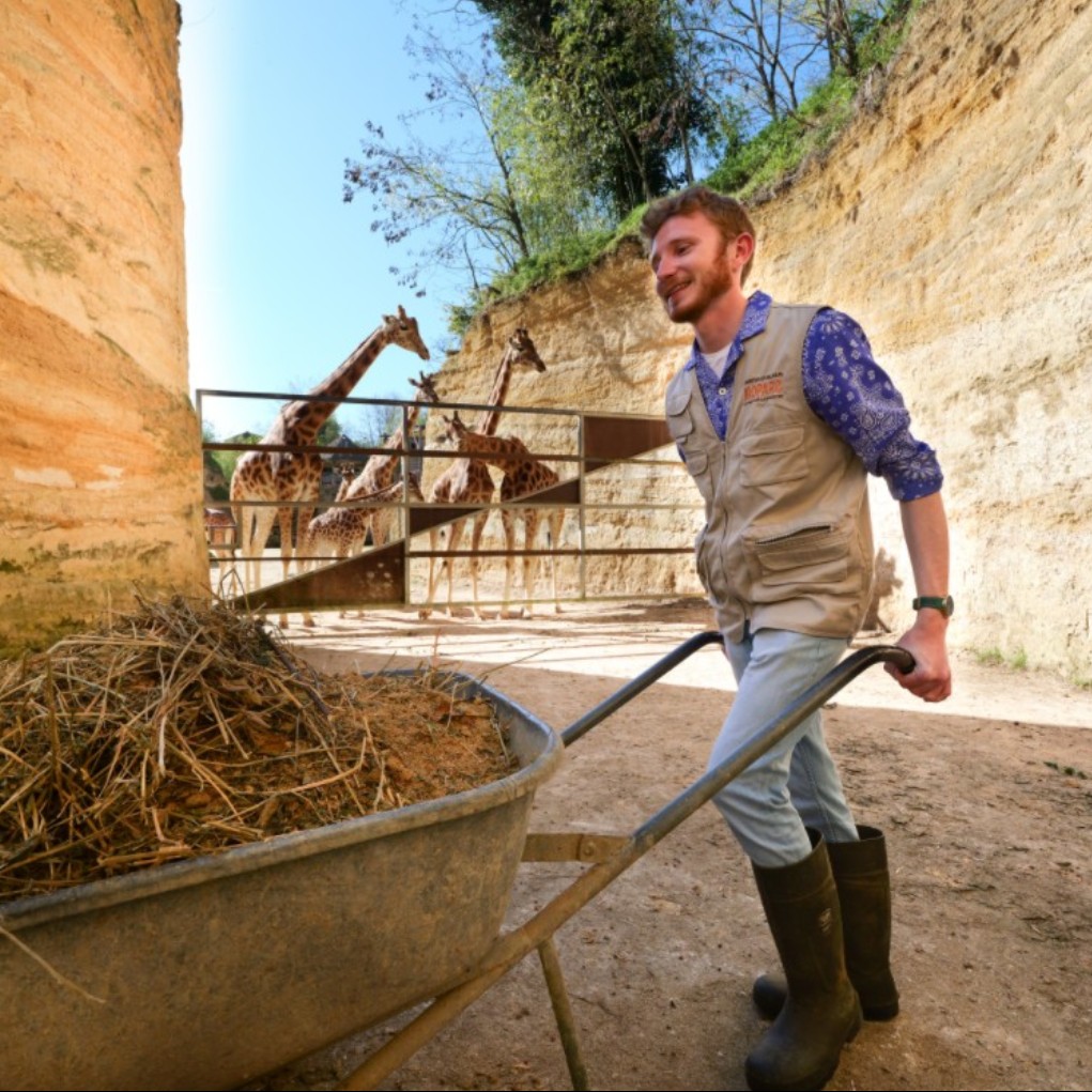 Soigneur(s) d'un jour