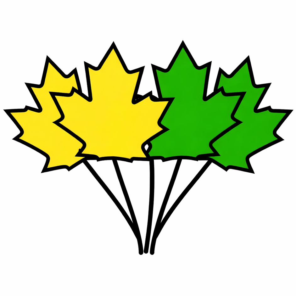 Pass jaune vert Adulte