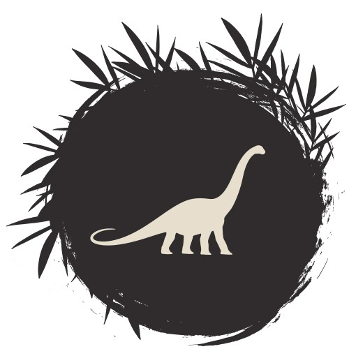 Open enfant (3 à 12 ans)