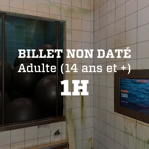 Billet NON DATÉ 1H Adulte (14 ans et +)