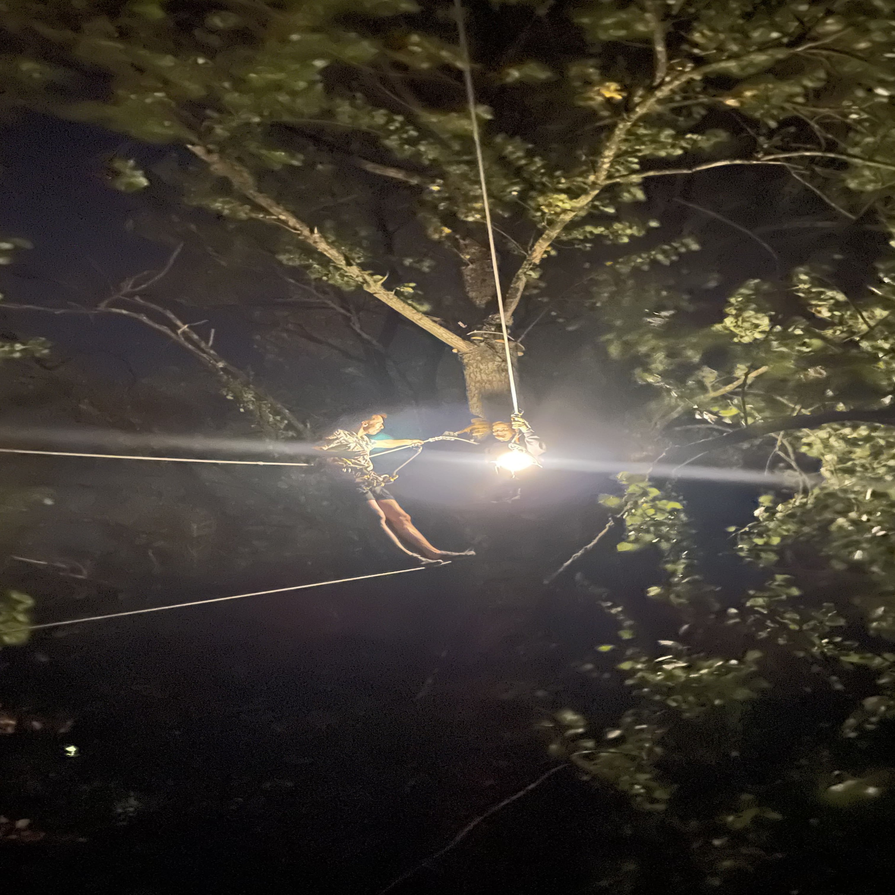Nocturne