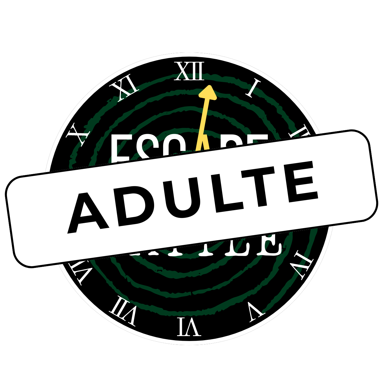 Entrée  Adulte (+ 12 ans) Escape Battle