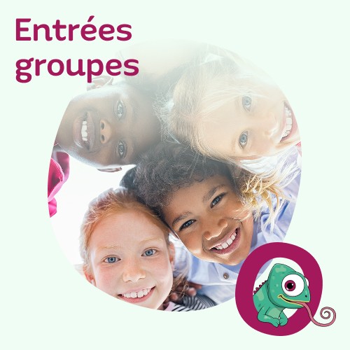 Entrées pour les groupes et institutions