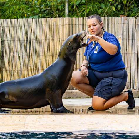 Journées Pédagogiques 