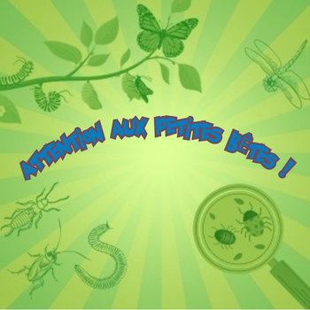 ATTENTION AUX PETITES BÊTES