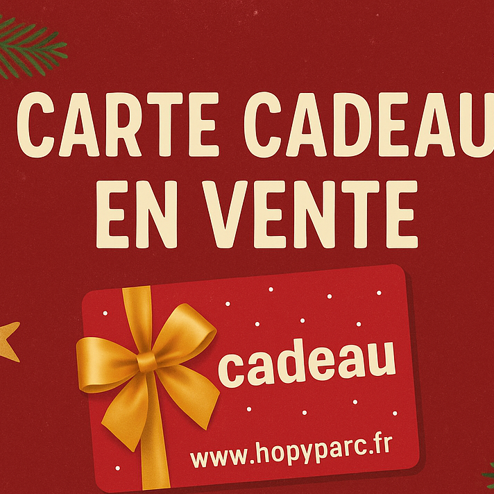 Bons cadeaux