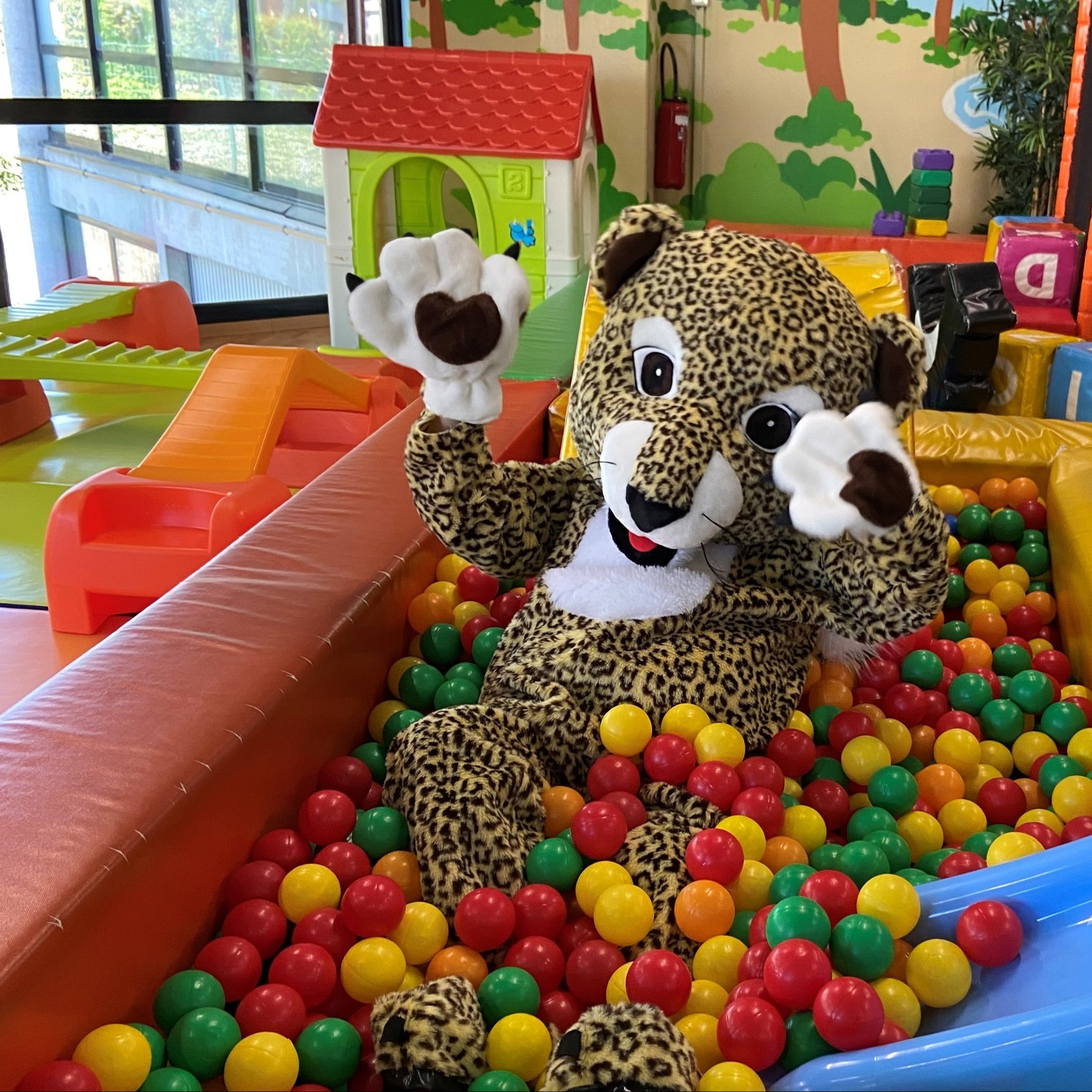 NOUVEAU: Anniversaire  Mini-JAVA ! pour les 1 et 2 ans.